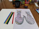 IMG_20250726_192706