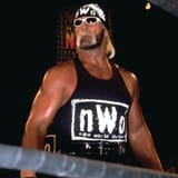 Heel Hogan
