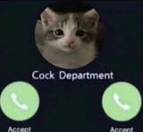1729021093770740