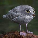 1739345555060646