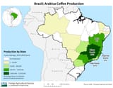 Brazil_Arabica_Coffee