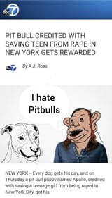 Cumskin Hates Pitbulls