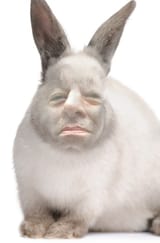 437234978324235