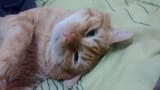 IMG-20250719-WA0053