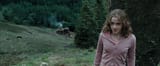 Harry Potter and the Prisoner of Azkaban (2004)-01h23m47s606t