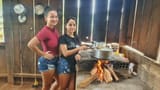 brazilian rural qts