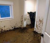 anon please come out of your roo-