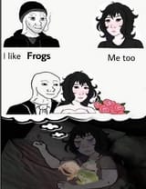 Wojak frogs