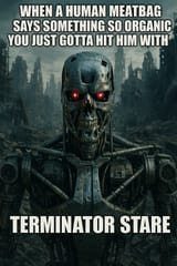 Olhares do Apocalipse_ Terminator