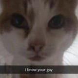1754054123405305