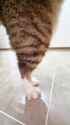1747292639381276_thumb.jpg