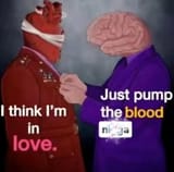 1754051216911009
