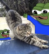 1737837677062172