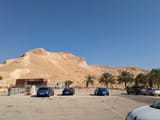PXL_20241115_073308999