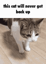 1677249918928935