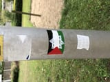IMG_5720