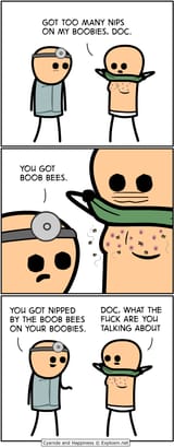 boobies