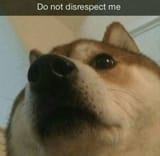 [DO NOT DISRESPECT ME]
