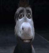 shrek-donkey-sad-slow-turn-off-lights-dark-q7aptvt35xgbn1rz