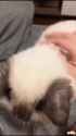 nr_thumb.jpg