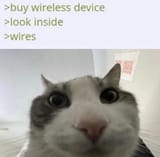 FQ6zjxiVgAA5ByD