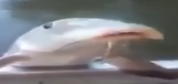 1702148453603