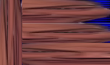 1735641262631583