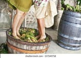 pounding-grapes-260nw-157243718