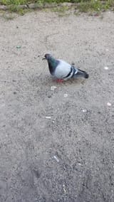 1734115674424765