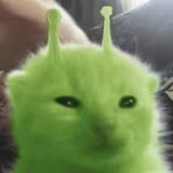 1728232583231327