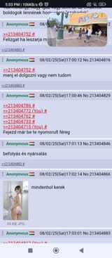Screenshot_2025-08-02-17-03-18-592_com.android.chrome