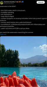 Screenshot 2025-08-02 at 17-27-55 (1) Carnivore Aurelius ©🥩 ☀️🦙 su X watermelon is the GOAT - full of 92% water which is structured... - incredibly hydrating - lots of potassium - super easy to digest - contains lycopene an amazing ant[...]