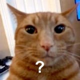 Thread 213406420 OP Image