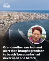 1735578447455296