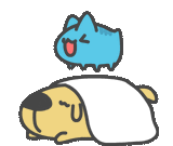 wake_up_capoo