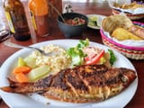 IMG_20240229_152023254_HDR