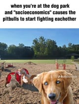 1707072111903709