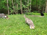 IMG_20250530_150815186_HDR