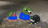 202507301913954