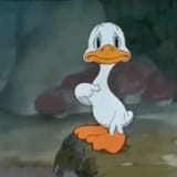 me-duck