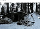perunatkin tykkää