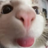 1726401783345973