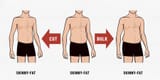 skinnyfat
