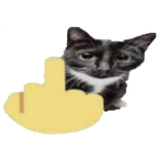 1754185035222