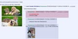 Snapshot_2025-08-02_211758_boards.4chan.org
