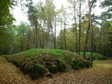 Wietrzychowice_groby_megalityczne_(6)