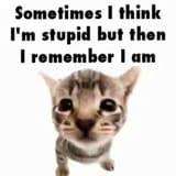 1727318198842599