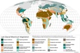 Last_Glacial_Maximum_Vegetation_Map.svg