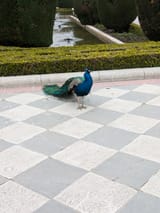 PXL_20250402_082613749