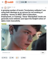 1736023140428754
